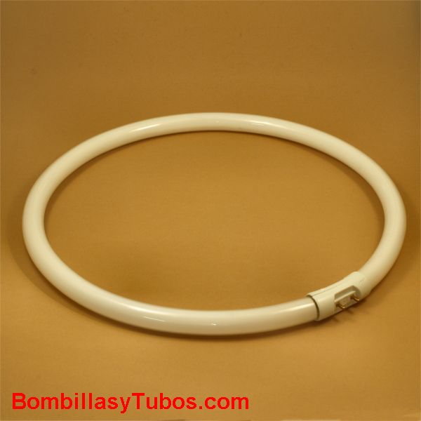 Fluorescente T5 circular 40w 6400k conexi�n 2GX13 30cm