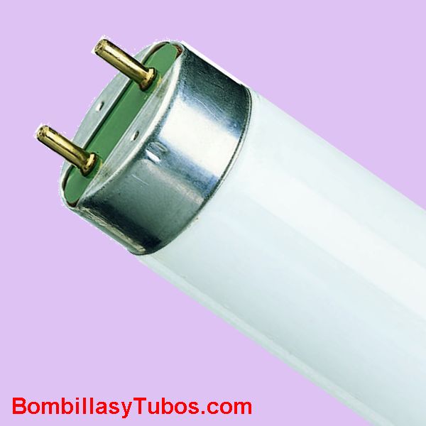 FLUORESCENTE T8 10w-ACTINIC atrapainsectos  BL 34cm - Tubo FLUORESCENTE 10w- ACTINIC BL para atrapainsectos