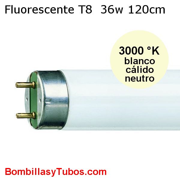 FLUORESCENTE T8 36w-830