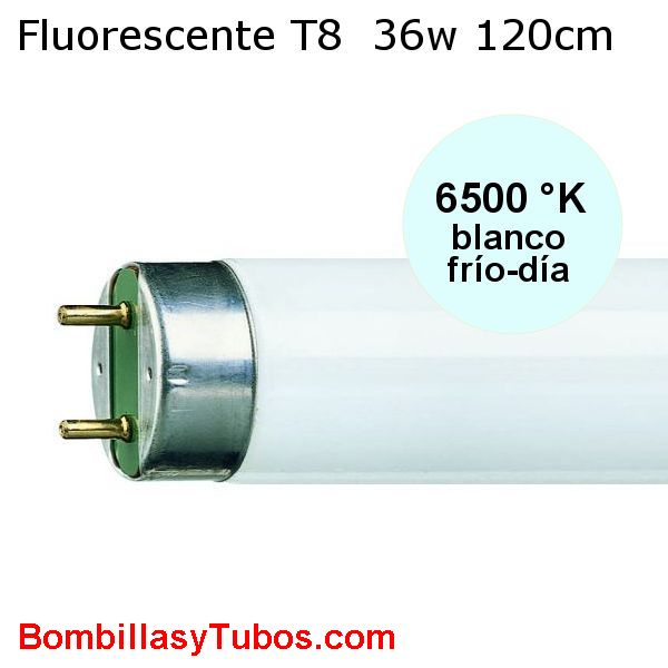 FLUORESCENTE T8 36w-865