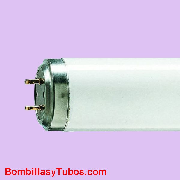 FLUORESCENTE 40w-10 ACTINIC BL 120cm