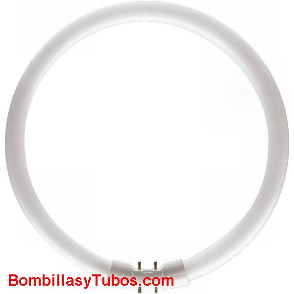 FLUORESCENTE T5 60w-840