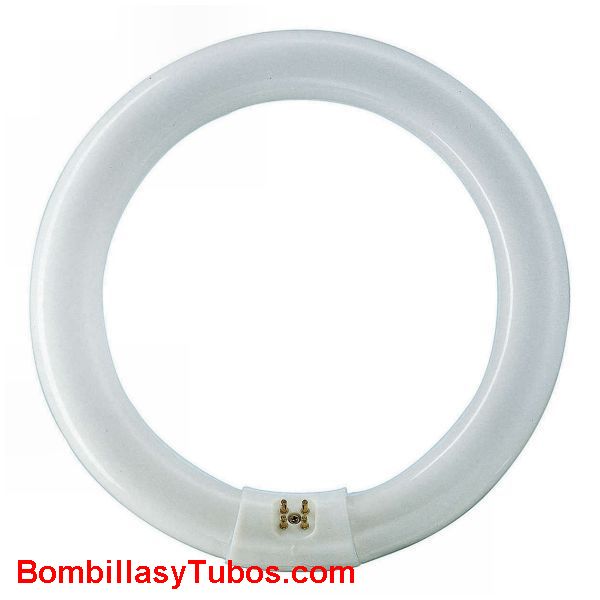 FLUORESCENTE T8 40w-865