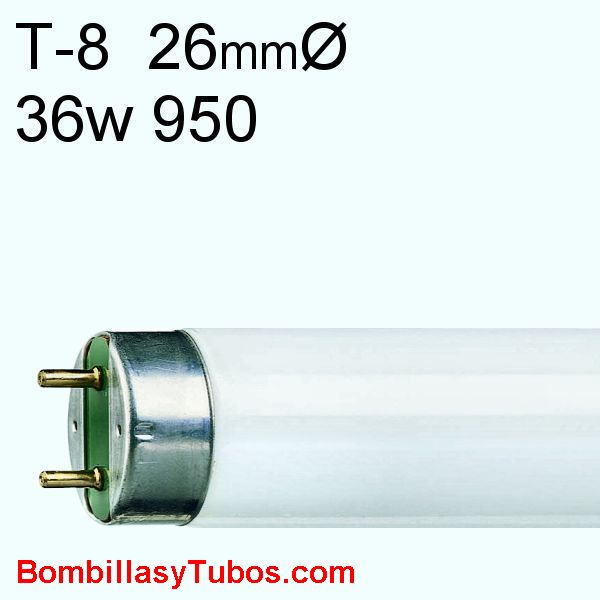FLUORESCENTE T8 36w-952 120cm 5200k