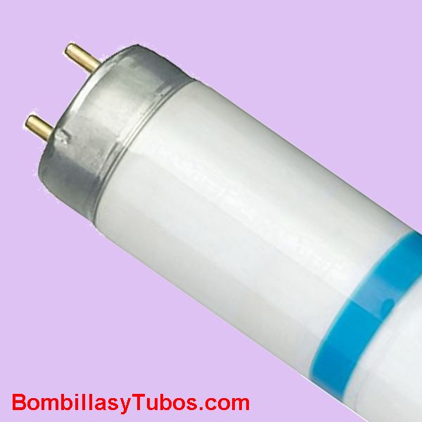 Fluorescente T8  15w-10 actinico UVA Secura 45cm - Fluorescente Philips T8 15w actinico anti roturas Secura . Proteccion anti astillado. UVA 368nm